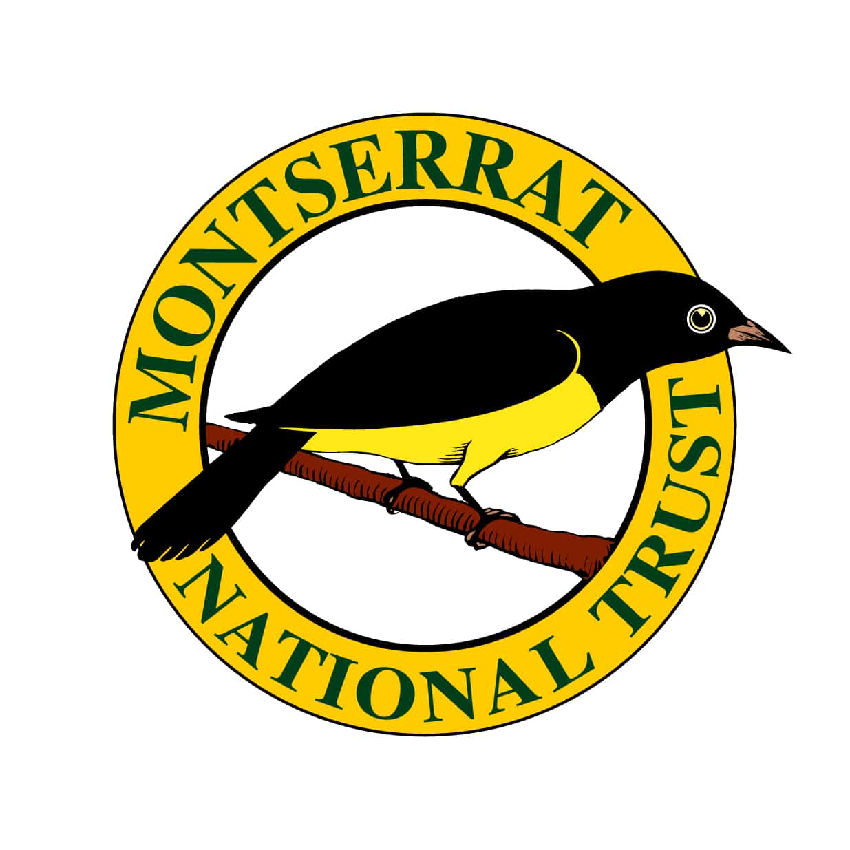 Eco Play Montserrat - UK Overseas Territories Conservation Forum