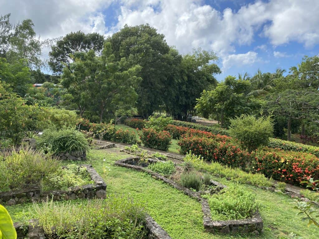 Medicinal Garden