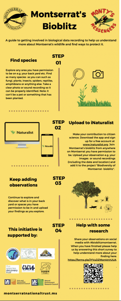 Bioblitz info sheet