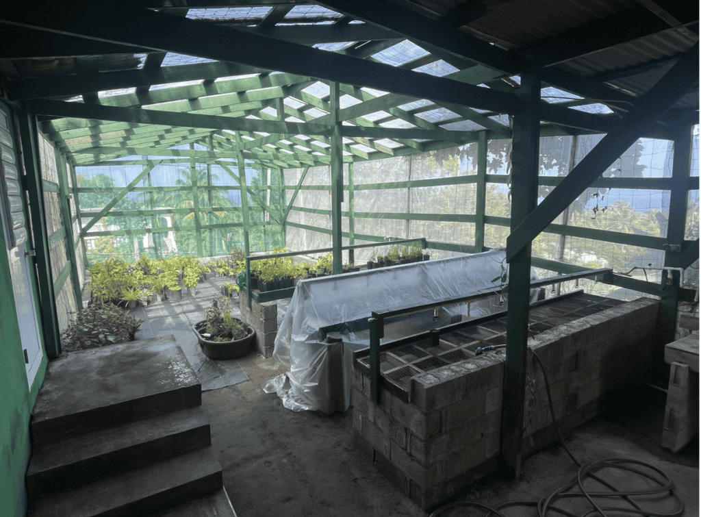 Propagation at the MNT nursery