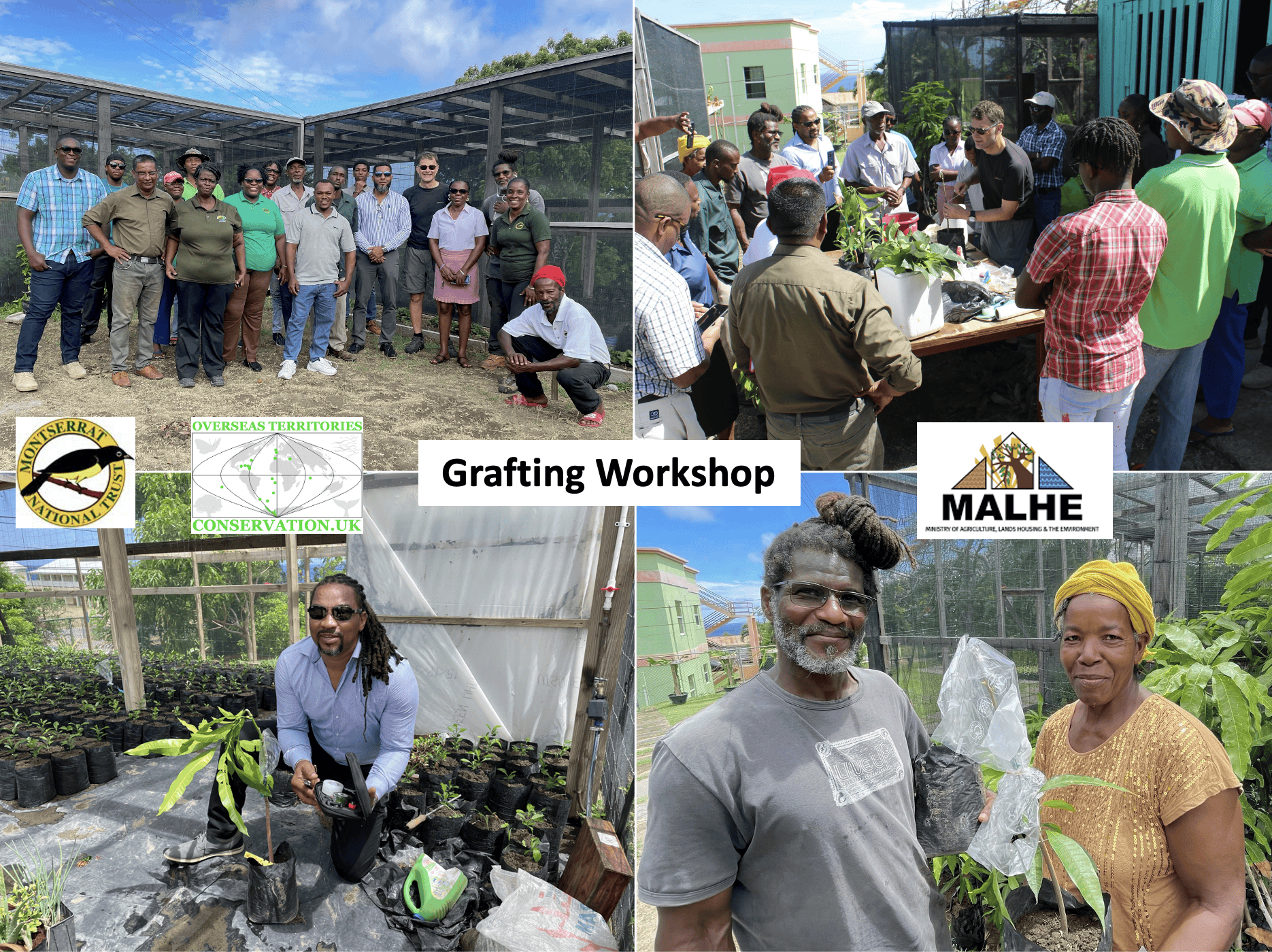 Grafting workshop