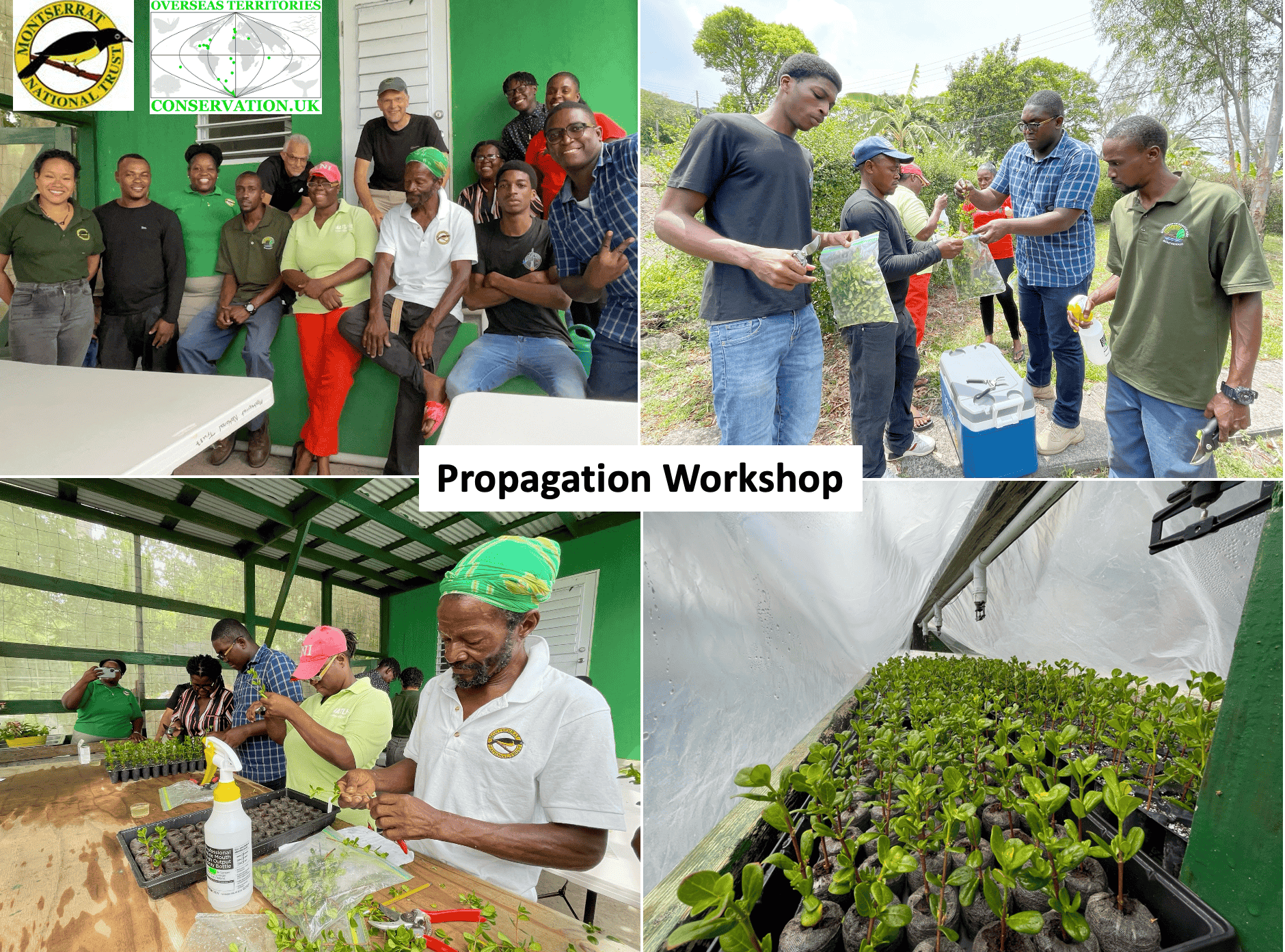 Propagation training