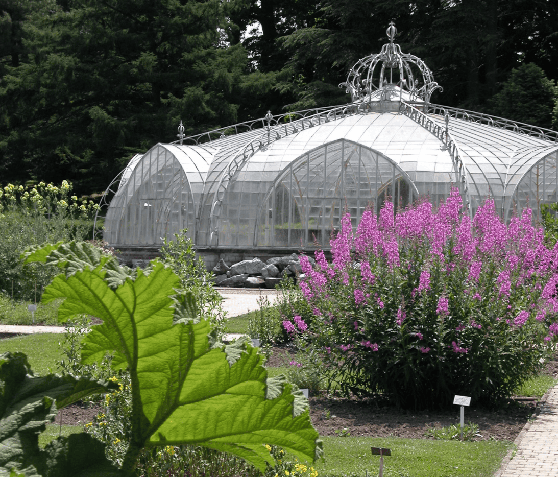 Meise Botanic Garden